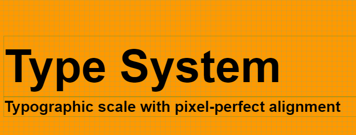 Type System